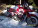 Suzuki DR